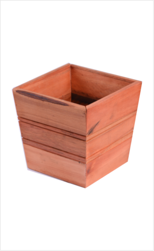VASO CÔNICO PEQUENO